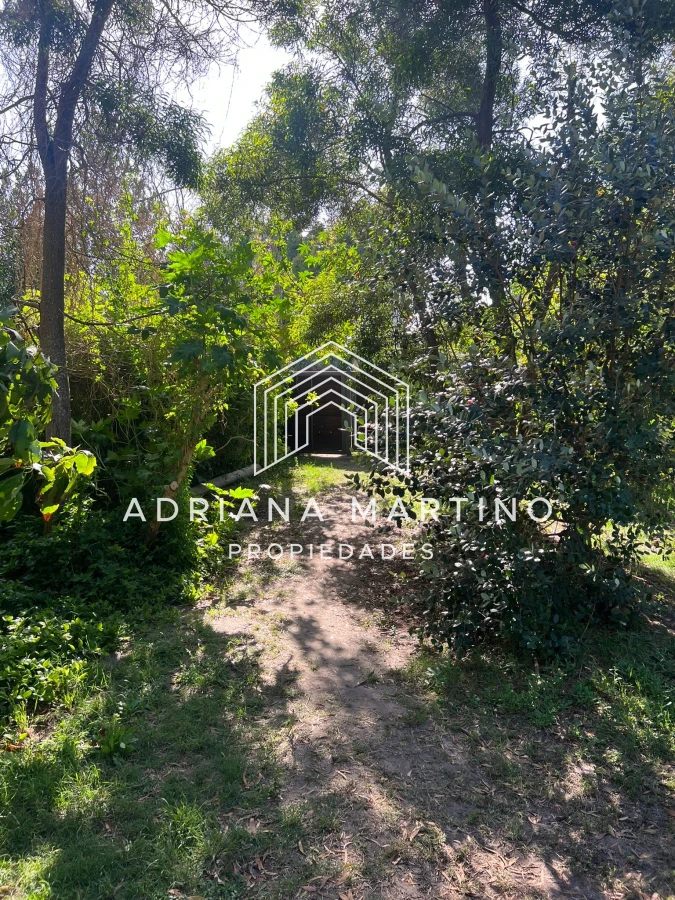 Hermosa casa en alquiler anual - GoPunta - Portal Inmobiliario de Punta del Este - Maldonado