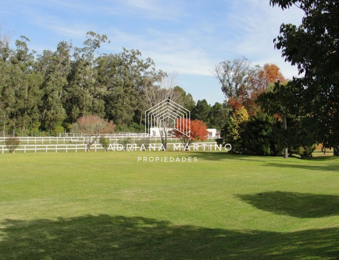 Casa ID.34401 - Amplia residencia con magnifica privacidad