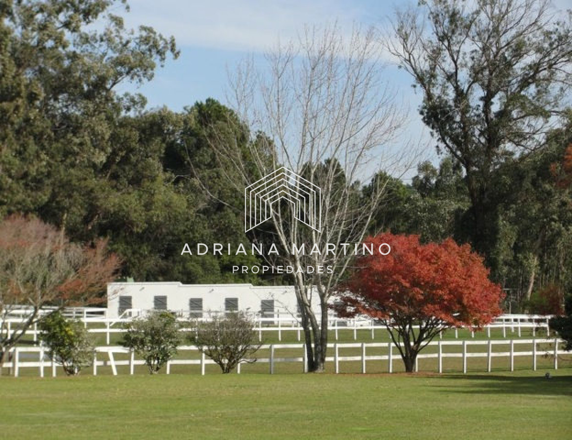 Casa ID.34401 - Amplia residencia con magnifica privacidad