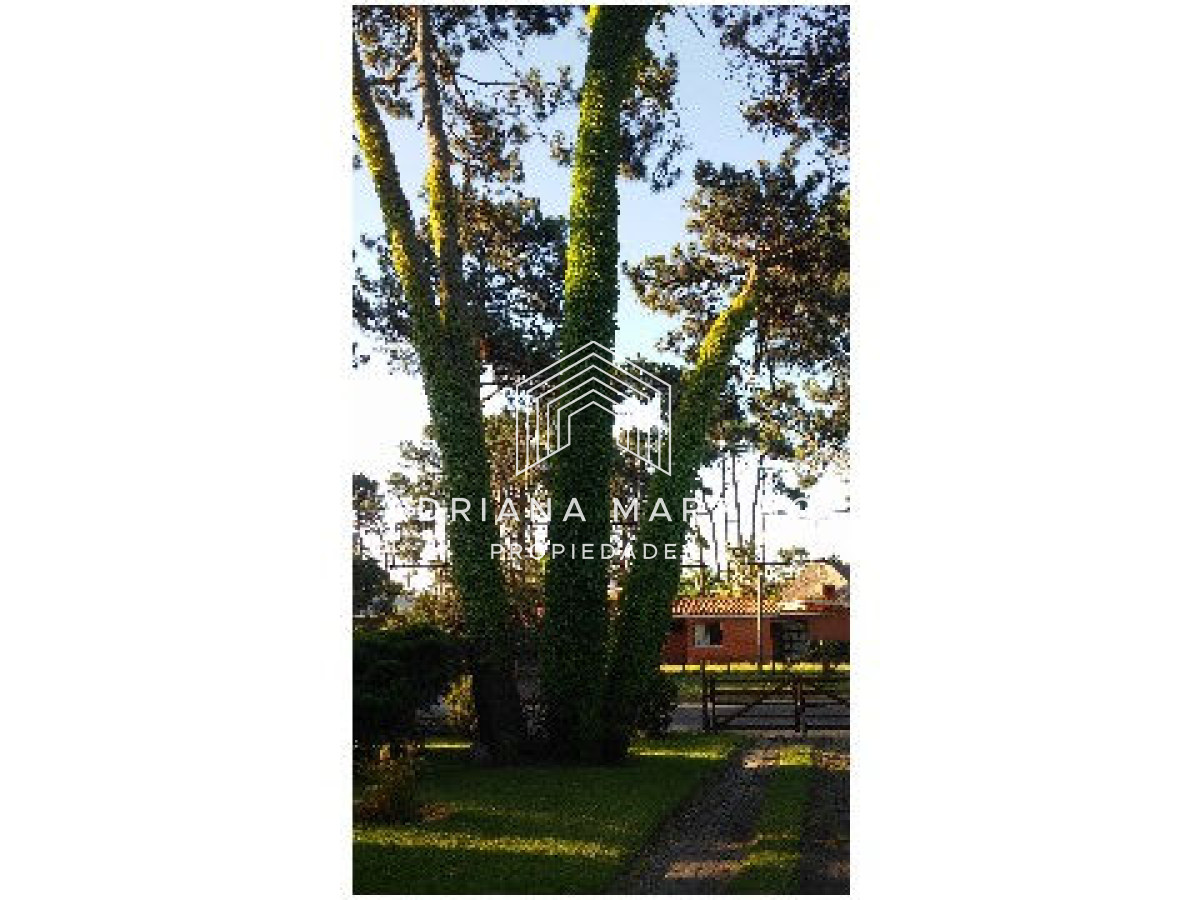 Casa ID.33379 - Casa en Pinares. Tres dormitorios, uno en suite, toilette, living comedor, dependencia de servicio. Piscina.