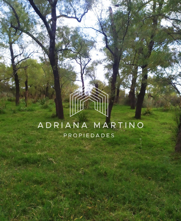 Maravillosa chacra en el Valle de los Espejos - GoPunta - Portal Inmobiliario de Punta del Este - Maldonado