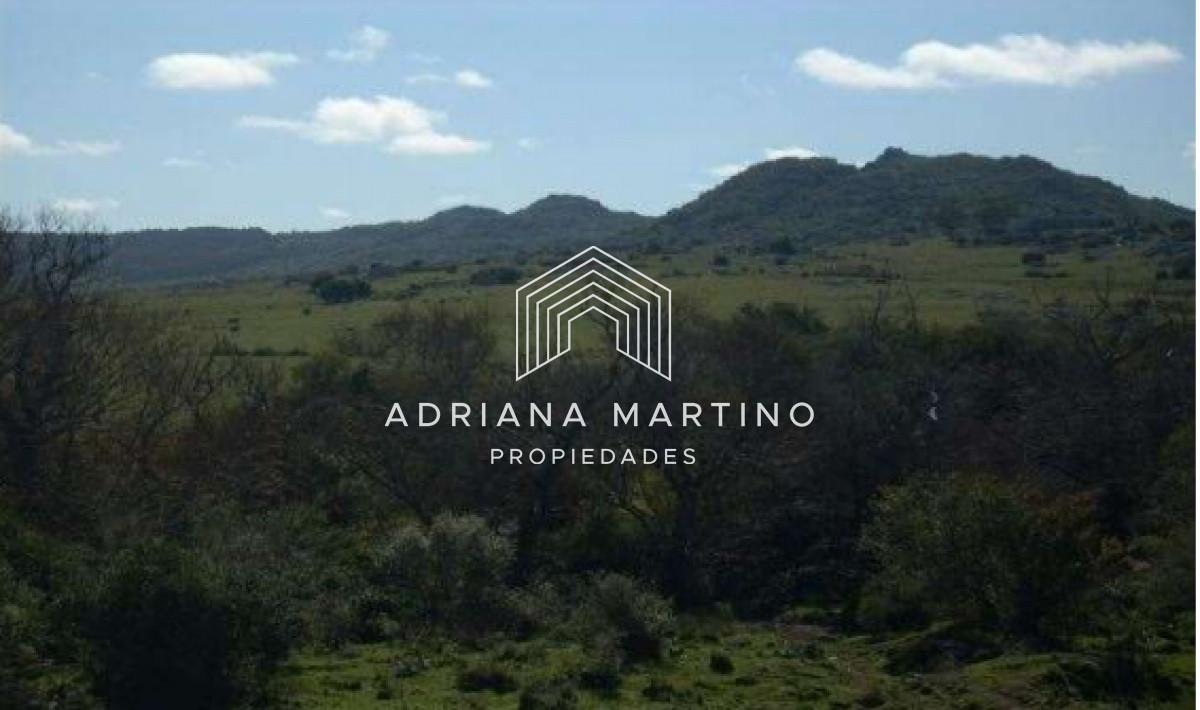 Campo Ref.69602 - Hermoso Campo en Lavalleja .