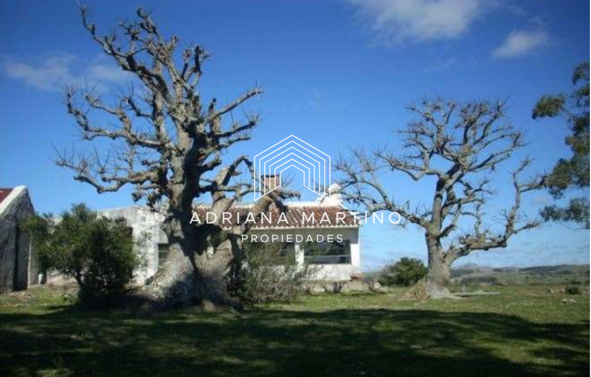 Campo Ref.69602 - Hermoso Campo en Lavalleja .