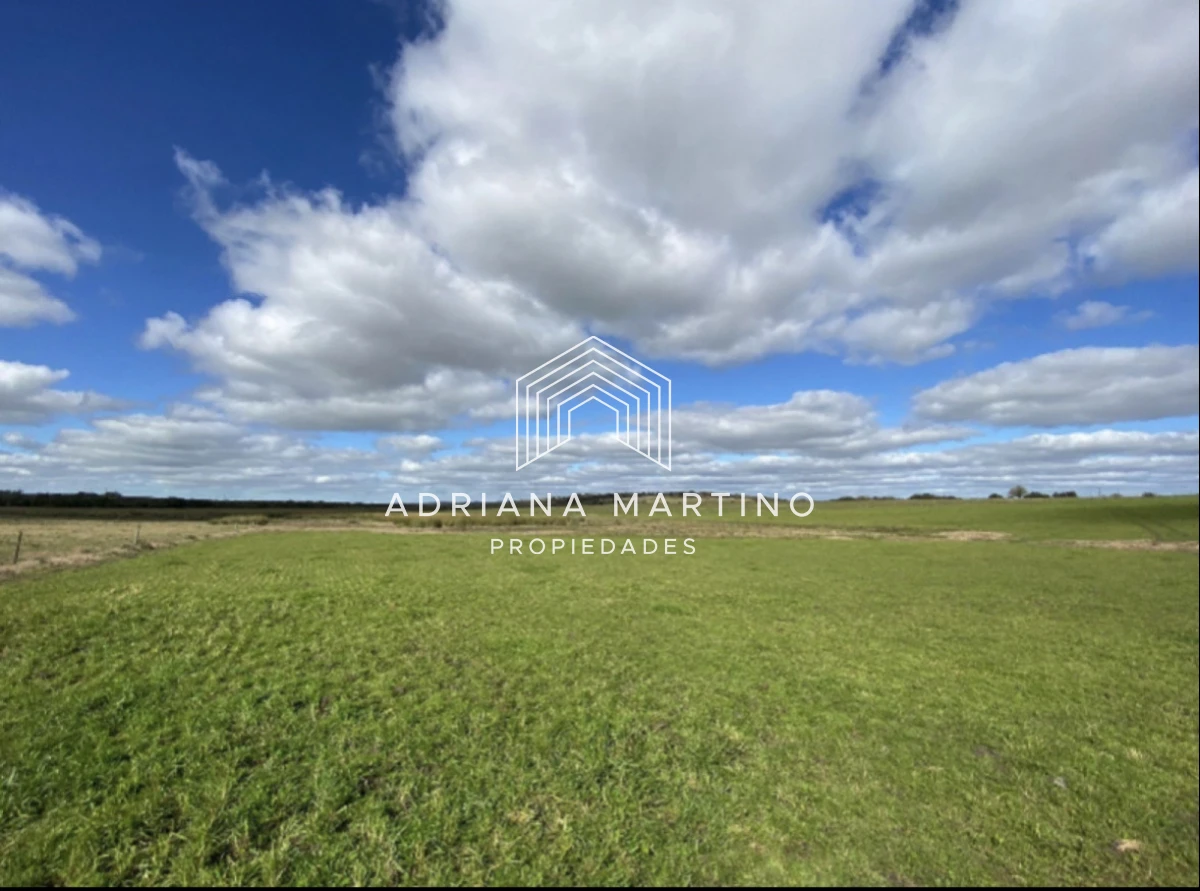 Campo Ref.71740 - Campo agrícola - ganadero en venta 