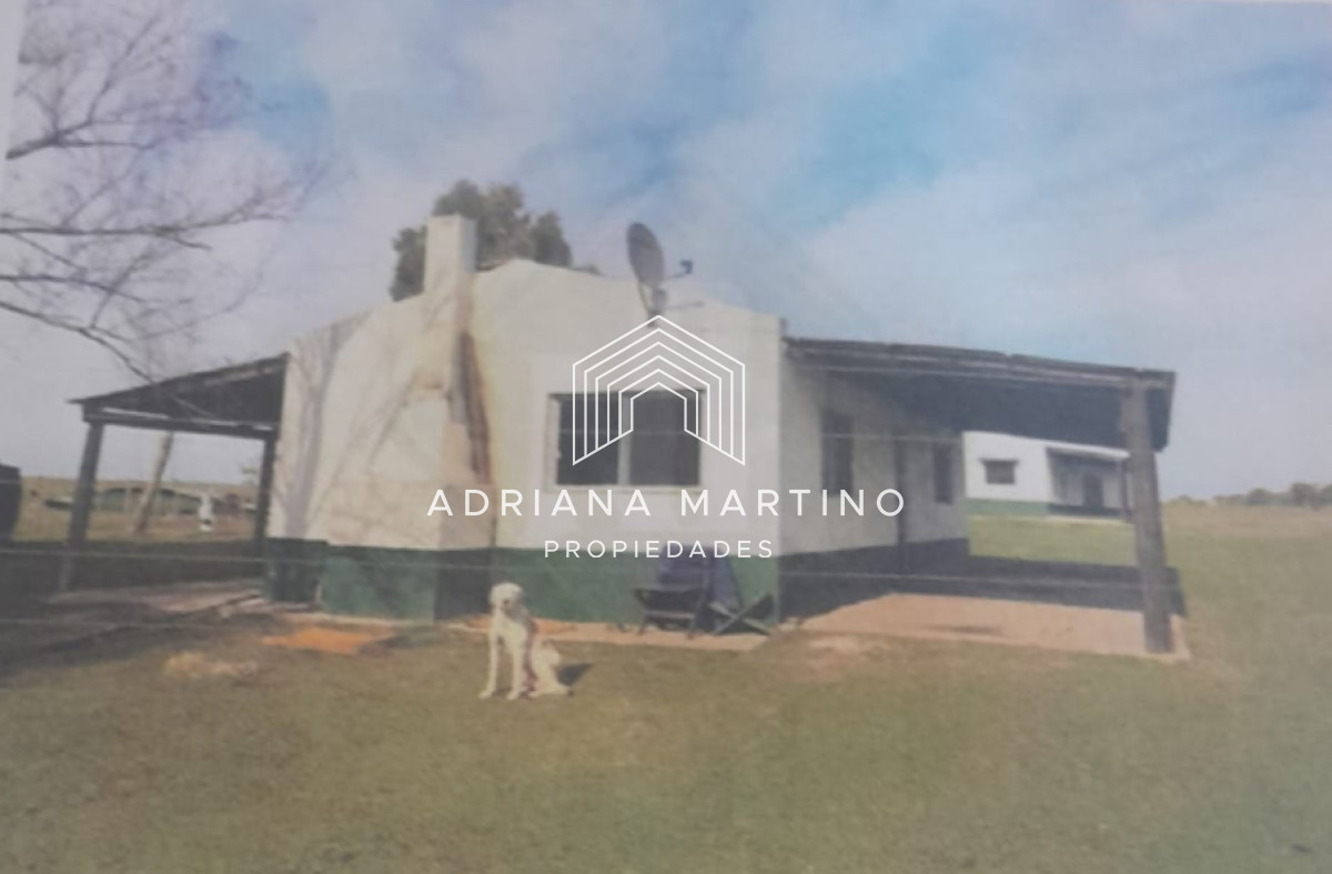 Excelente campo ganadero agrícola en venta - GoPunta - Portal Inmobiliario de Punta del Este - Maldonado