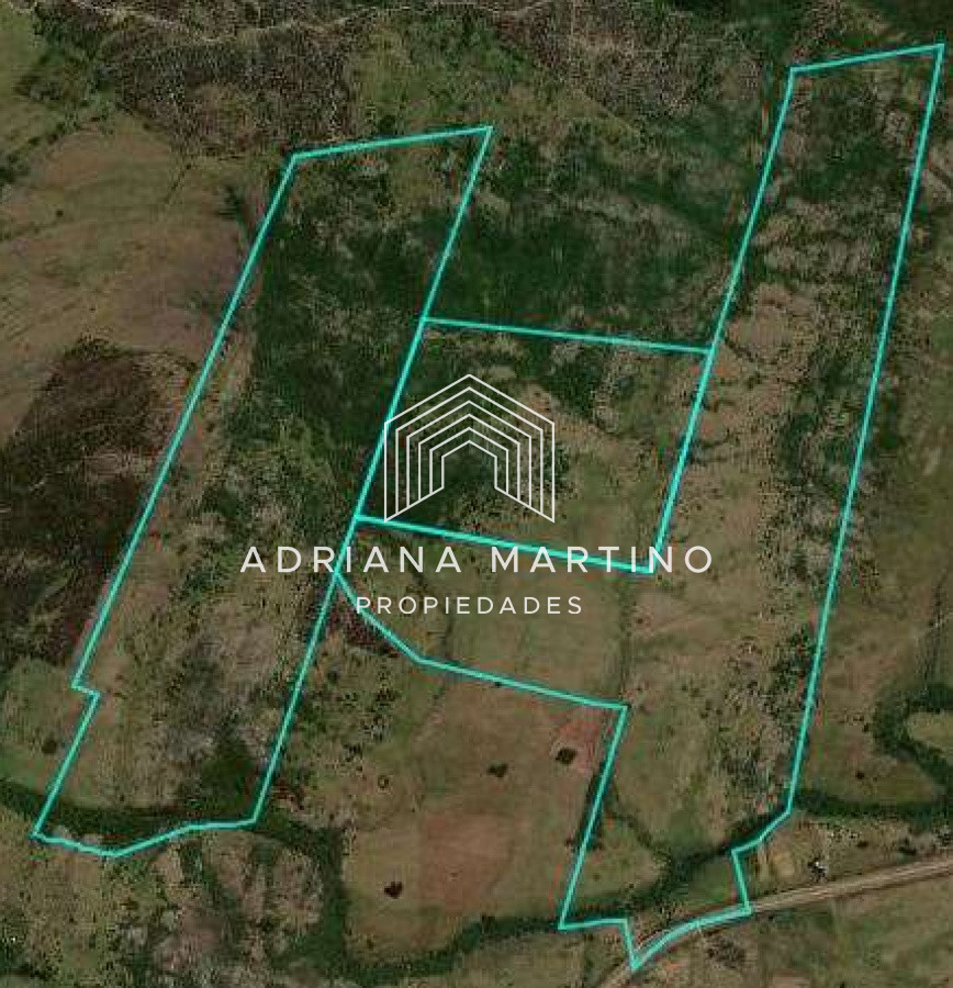 Campo Ref.69602 - Hermoso Campo en Lavalleja .