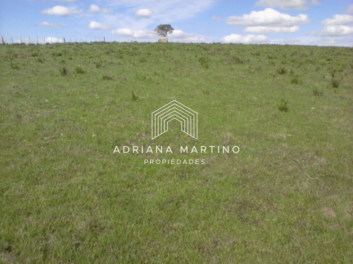 Campo Agricola Ganadero,   sin construcción, - GoPunta - Portal Inmobiliario de Punta del Este - Maldonado