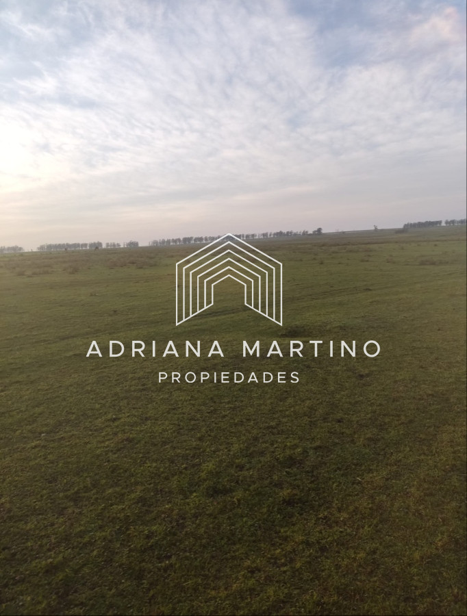 Campo agrÃ­cola en paysandu - GoPunta - Portal Inmobiliario de Punta del Este - Maldonado