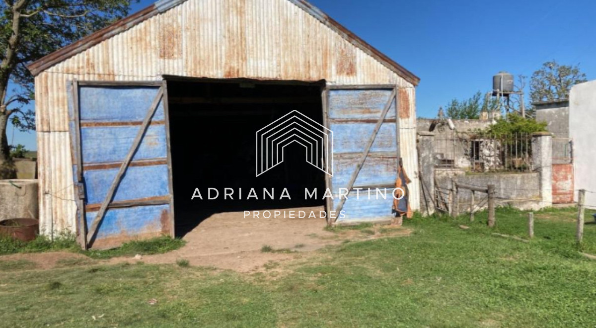 Campo agrícola ganadero en durazno - GoPunta - Portal Inmobiliario de Punta del Este - Maldonado