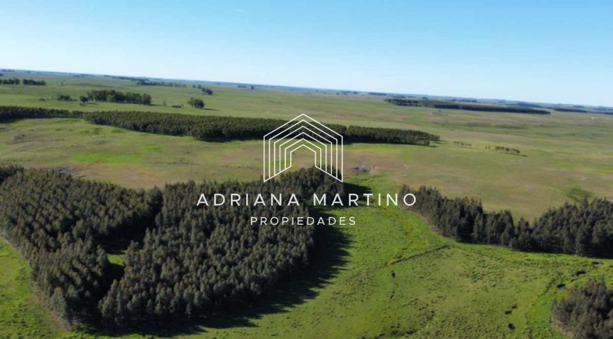 Campo agrícola ganadero en durazno - GoPunta - Portal Inmobiliario de Punta del Este - Maldonado