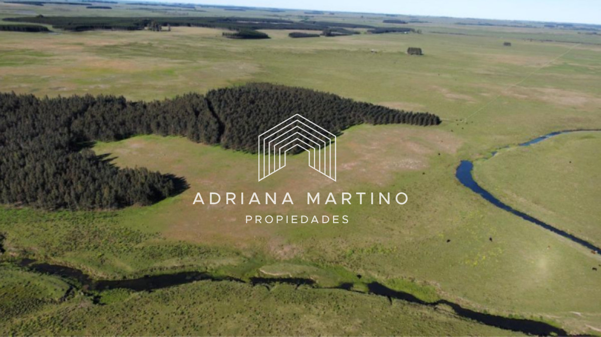 Campo agrícola ganadero en durazno - GoPunta - Portal Inmobiliario de Punta del Este - Maldonado