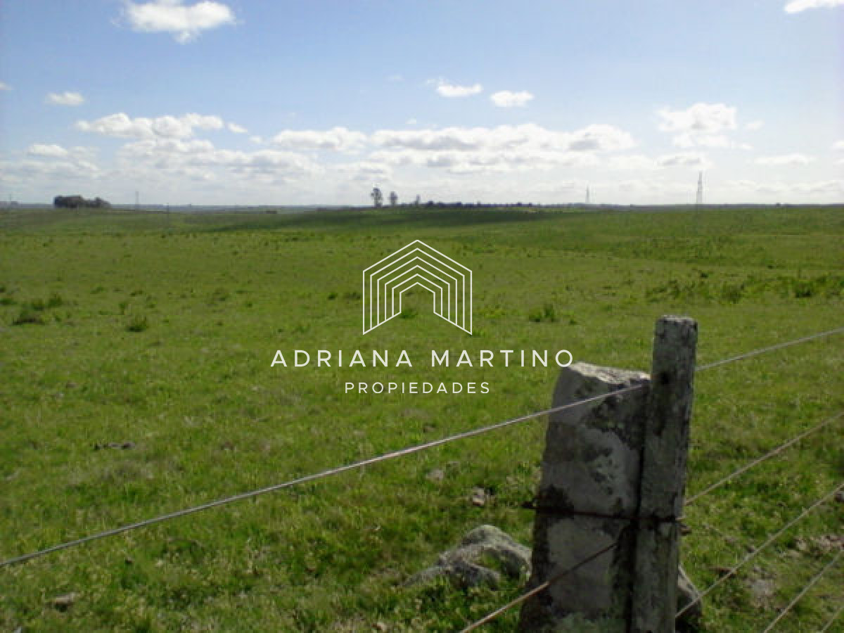 Campo Agricola Ganadero,   sin construcción, - GoPunta - Portal Inmobiliario de Punta del Este - Maldonado
