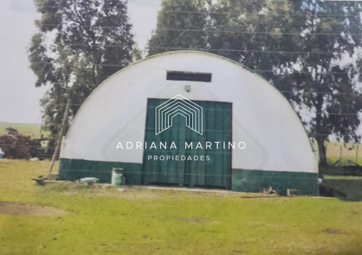 Campo Ref.71388 - Excelente campo ganadero-agrícola en venta 