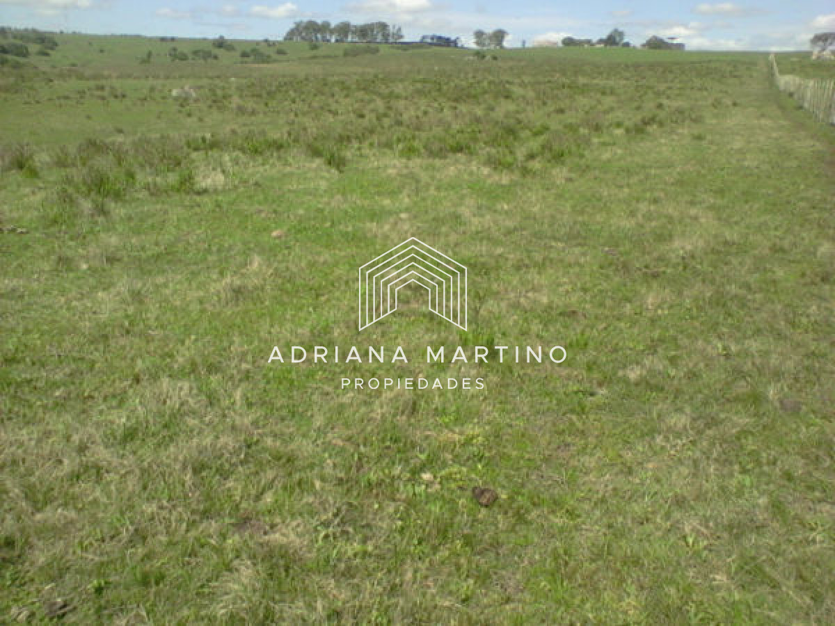 Campo Agricola Ganadero,   sin construcción, - GoPunta - Portal Inmobiliario de Punta del Este - Maldonado