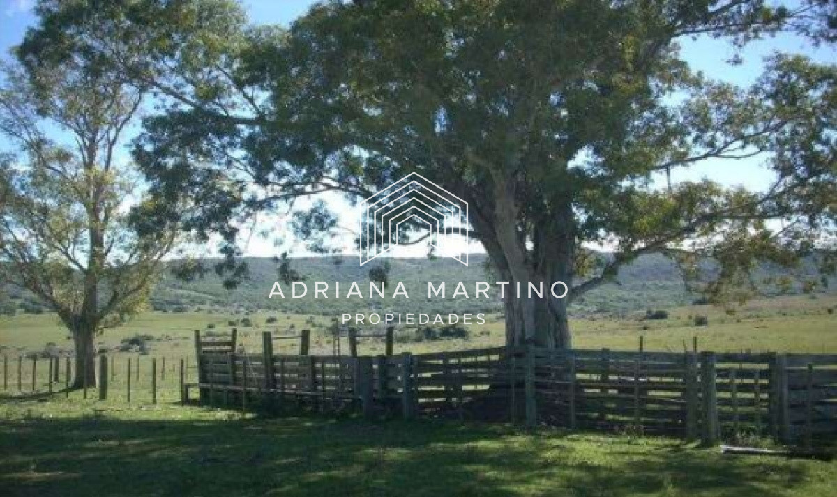 Campo Ref.69602 - Hermoso Campo en Lavalleja .