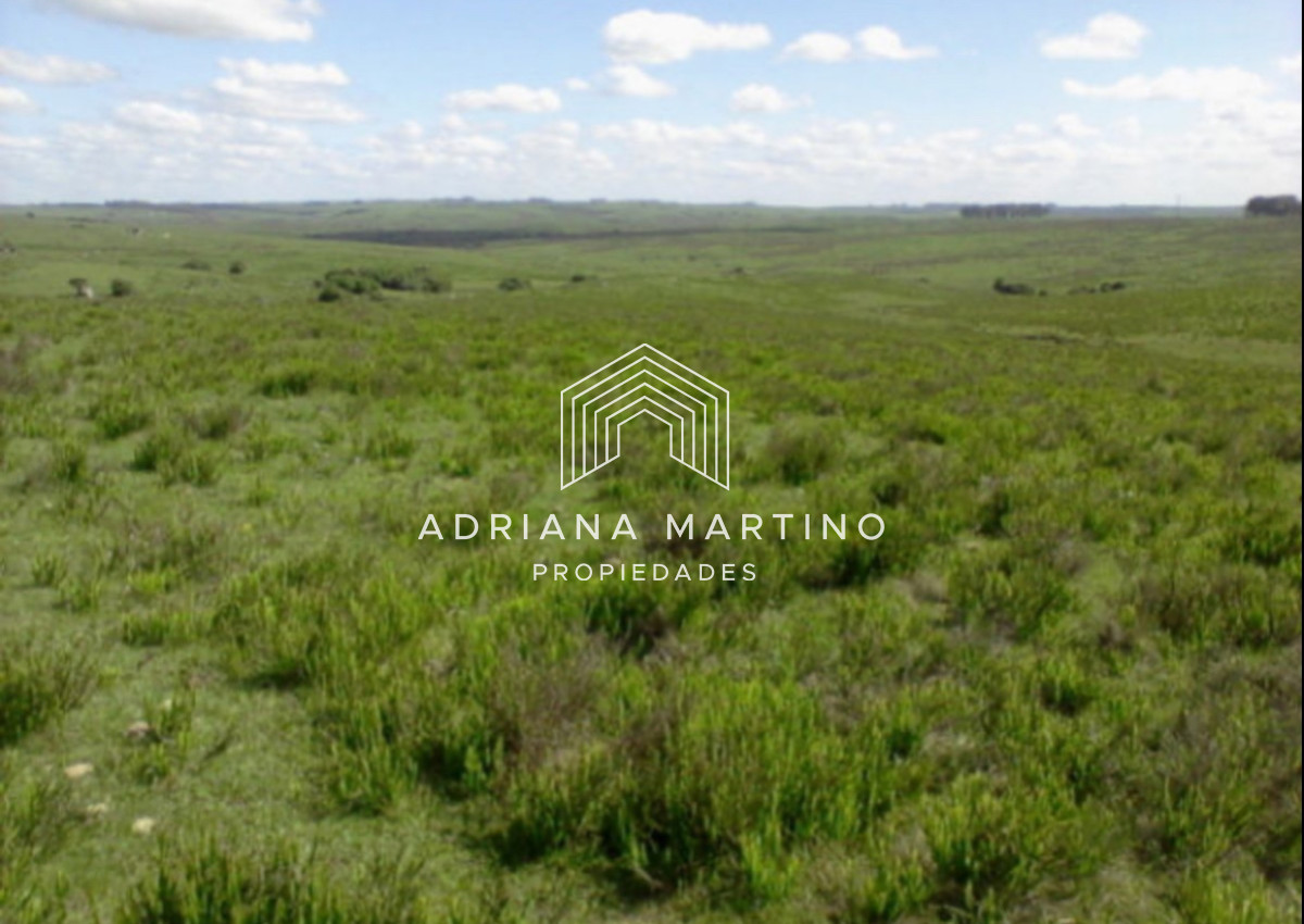 Campo Ref.71741 - Campo agrícola - ganadero en venta