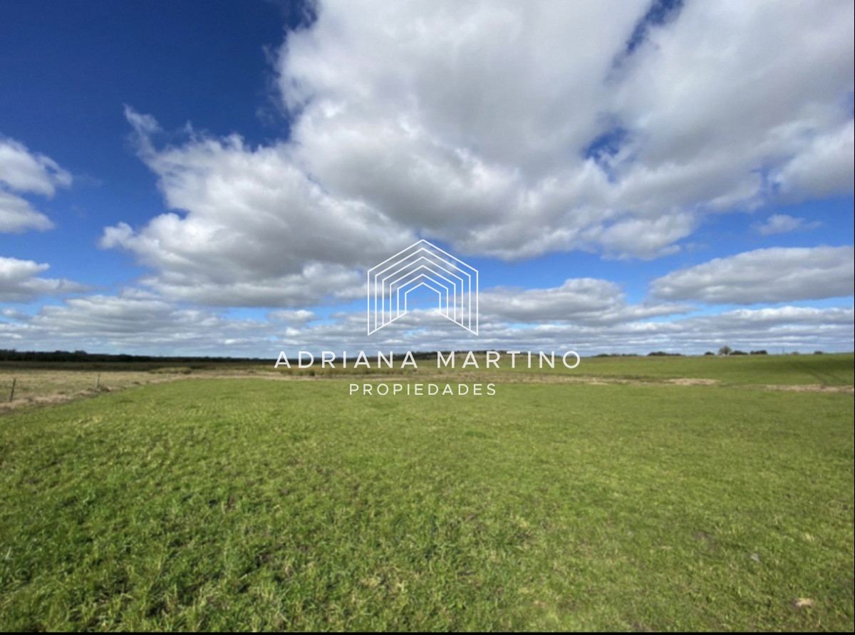 Campo Ref.71741 - Campo agrícola - ganadero en venta