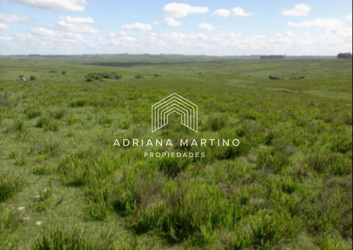 Campo Ref.71740 - Campo agrícola - ganadero en venta 