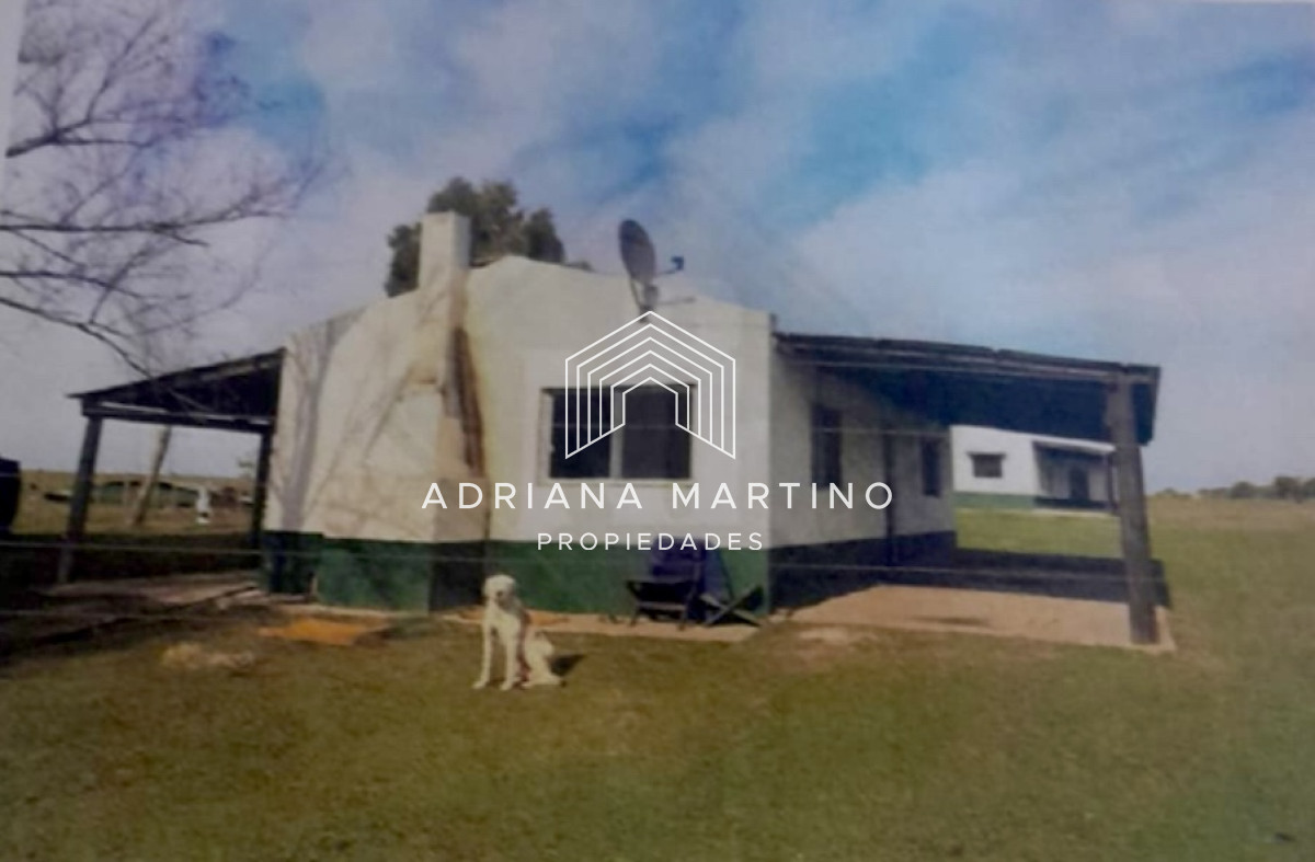 Campo Ref.71388 - Excelente campo ganadero-agrícola en venta 