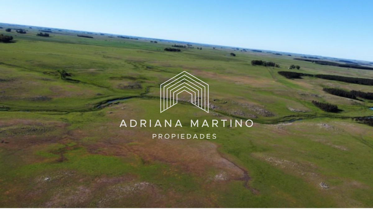 Campo agrícola ganadero en durazno - GoPunta - Portal Inmobiliario de Punta del Este - Maldonado