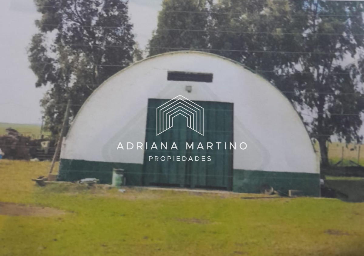 Excelente campo ganadero agrícola en venta - GoPunta - Portal Inmobiliario de Punta del Este - Maldonado