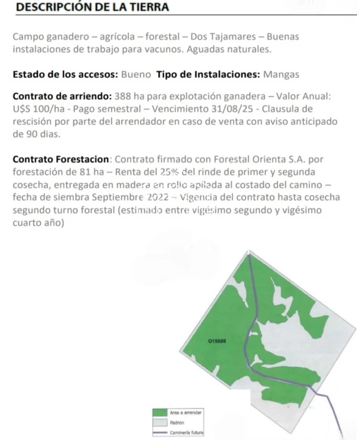Campo Ref.71747 - Campo Florida  Ganadero - Agrícola - Forestal en venta 