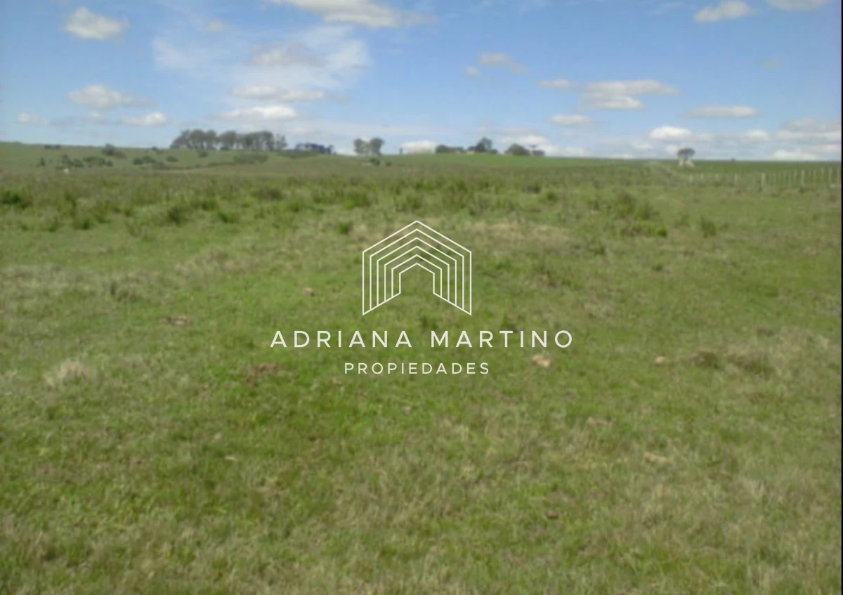 Campo Ref.71740 - Campo agrícola - ganadero en venta 