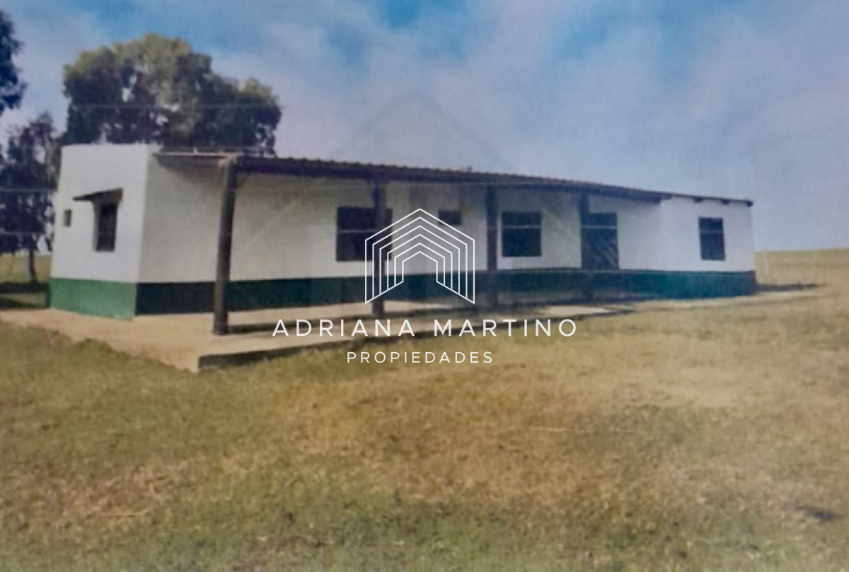Excelente campo ganadero agrícola en venta - GoPunta - Portal Inmobiliario de Punta del Este - Maldonado