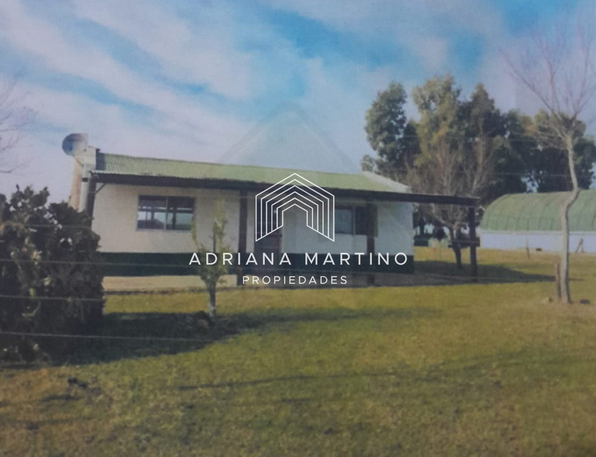 Excelente campo ganadero agrícola en venta - GoPunta - Portal Inmobiliario de Punta del Este - Maldonado