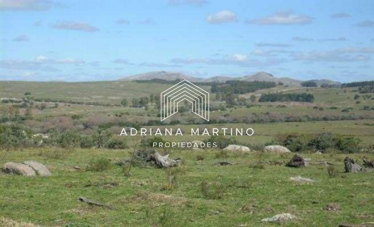 Campo Ref.69602 - Hermoso Campo en Lavalleja .