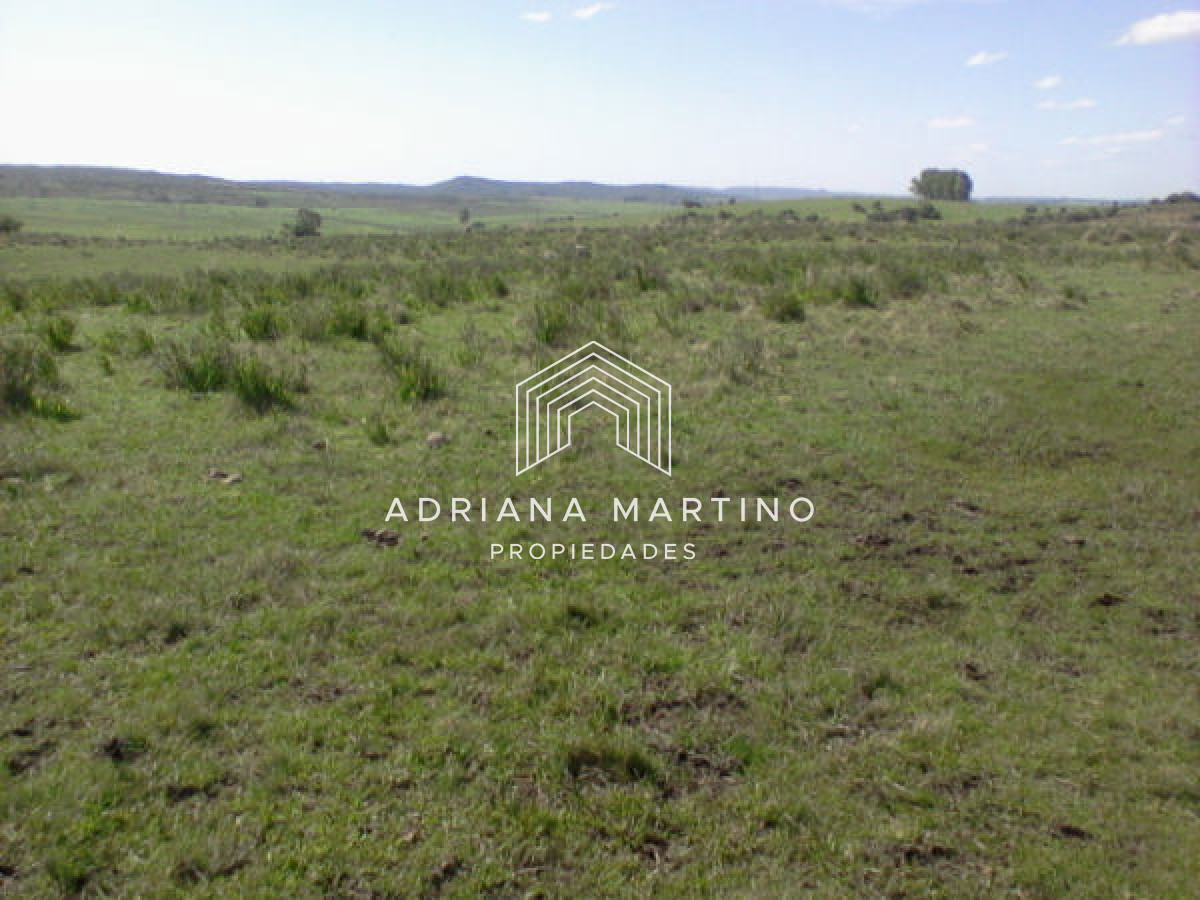 Campo Agricola Ganadero,   sin construcción, - GoPunta - Portal Inmobiliario de Punta del Este - Maldonado