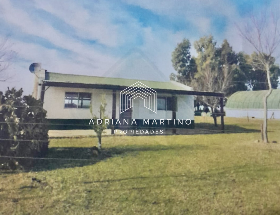 Excelente campo ganadero agrícola en venta - GoPunta - Portal Inmobiliario de Punta del Este - Maldonado