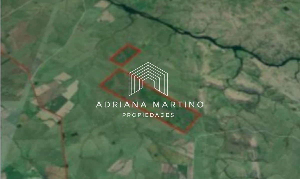 Campo Ref.71747 - Campo Florida  Ganadero - Agrícola - Forestal en venta 