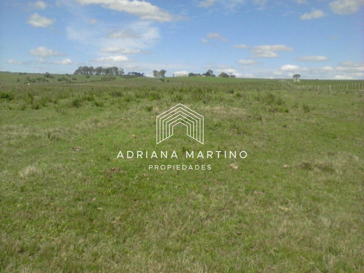 Campo Agricola Ganadero,   sin construcción, - GoPunta - Portal Inmobiliario de Punta del Este - Maldonado