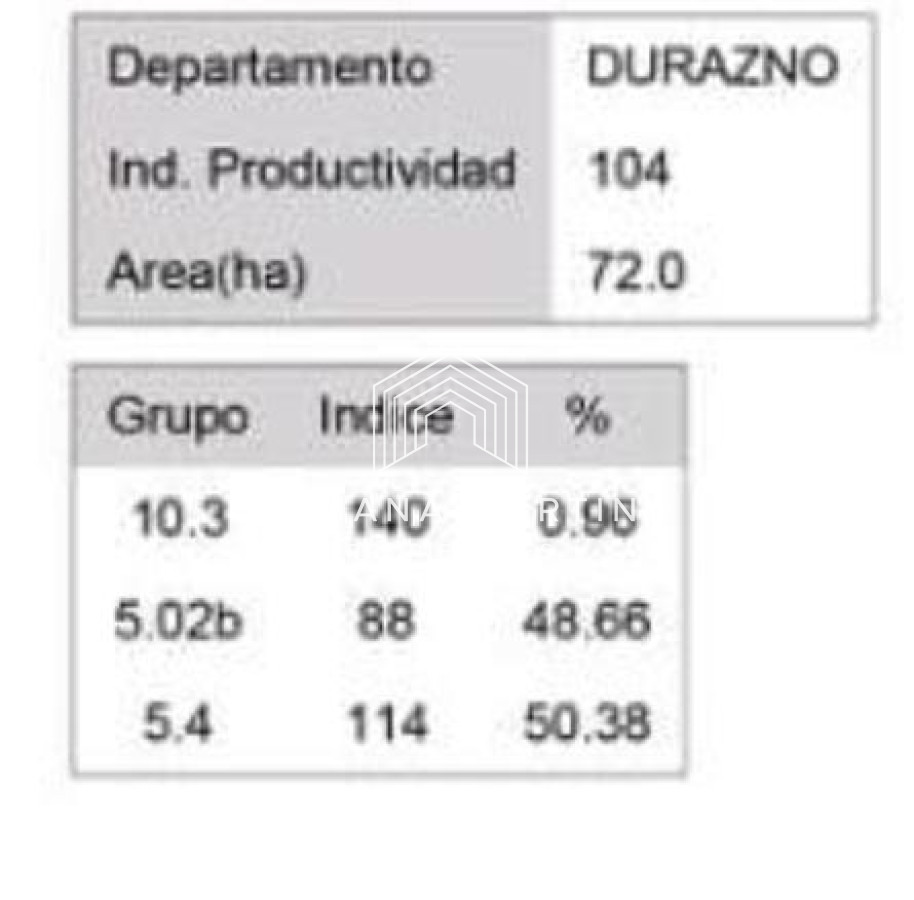 Campo en durazno - GoPunta - Portal Inmobiliario de Punta del Este - Maldonado