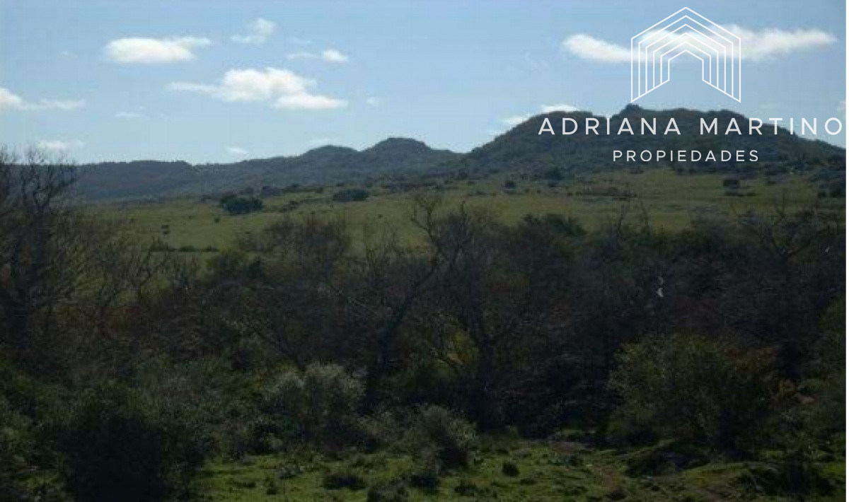 Campo Ref.69602 - Hermoso Campo en Lavalleja .