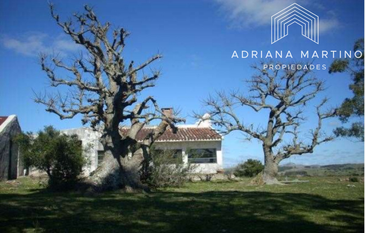 Campo Ref.69602 - Hermoso Campo en Lavalleja .