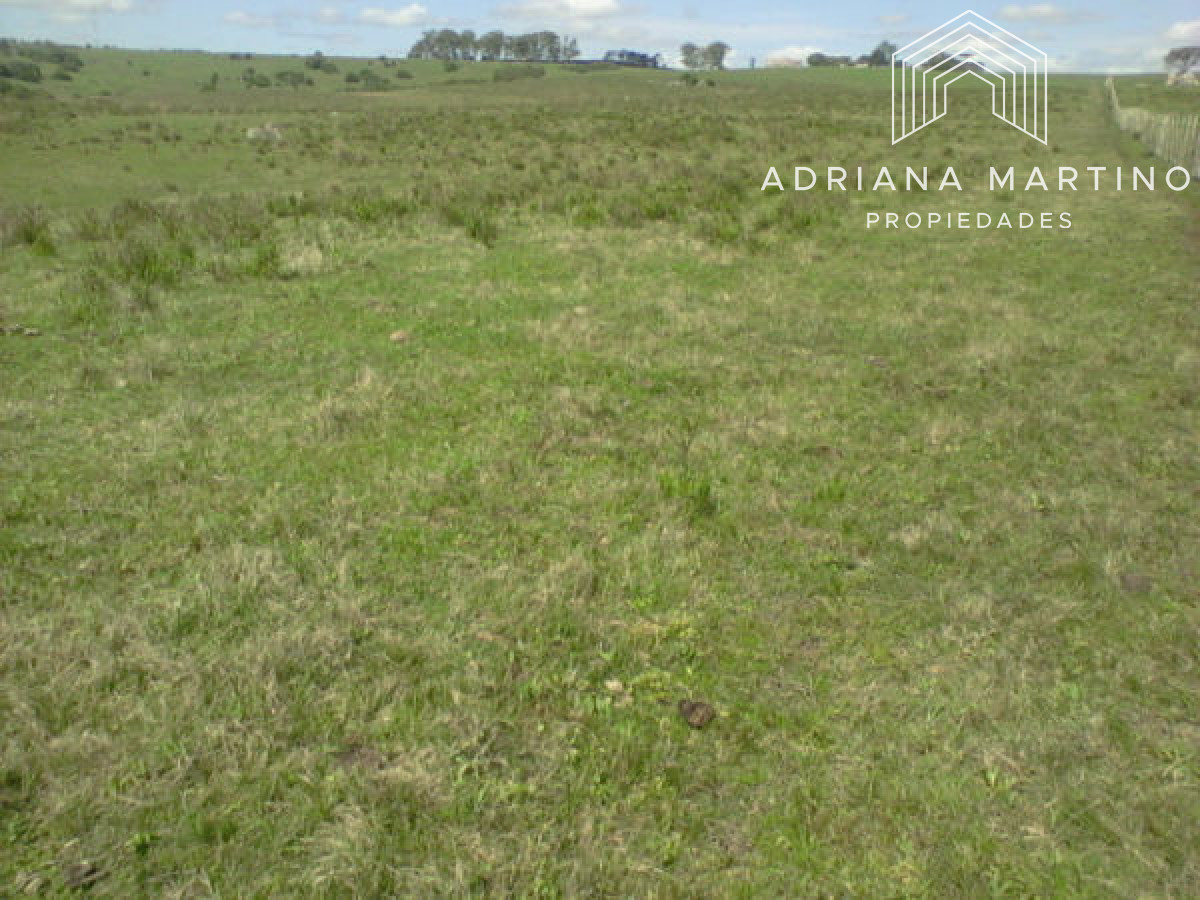 Campo Agricola Ganadero,