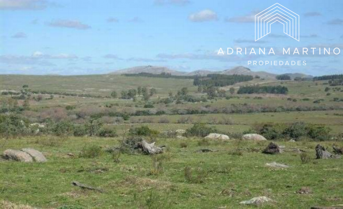 Campo Ref.69602 - Hermoso Campo en Lavalleja .