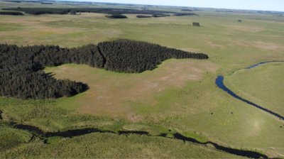 Campo agrícola ganadero en durazno 