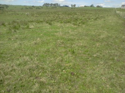 Campo Agricola Ganadero, - sin construcción,  