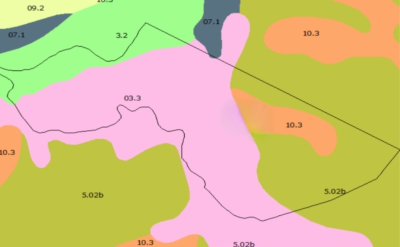 Campo agrícola - ganadero en venta 