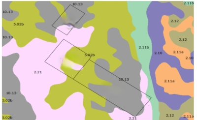 Campo Florida  Ganadero - Agrícola - Forestal en venta 