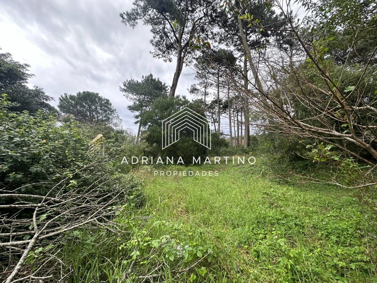 Rincón del Indio - GoPunta - Portal Inmobiliario de Punta del Este - Maldonado