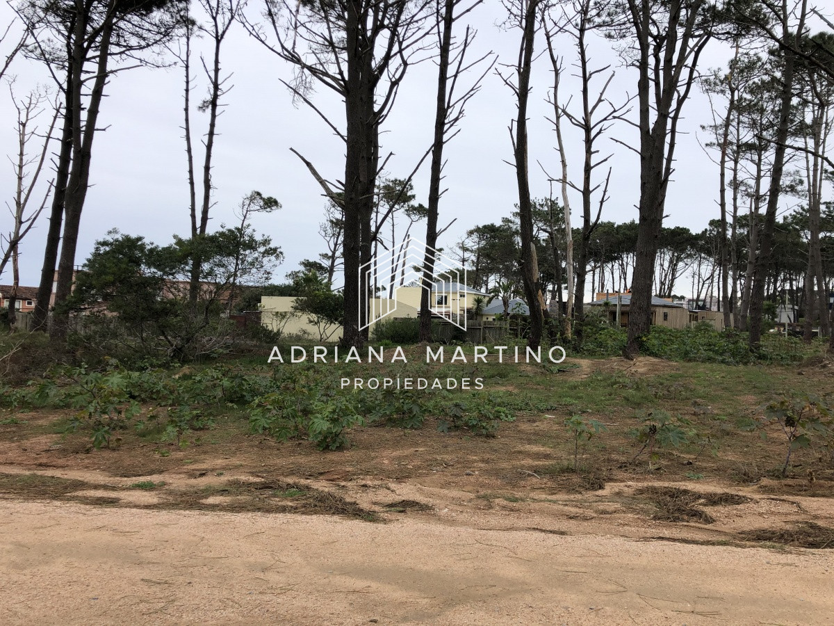 Terreno ID.69154 - Terreno en La Barra, Montoya