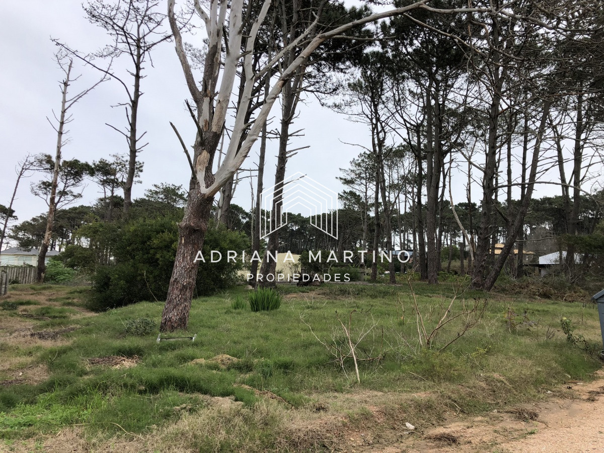 Terreno ID.69154 - Terreno en La Barra, Montoya