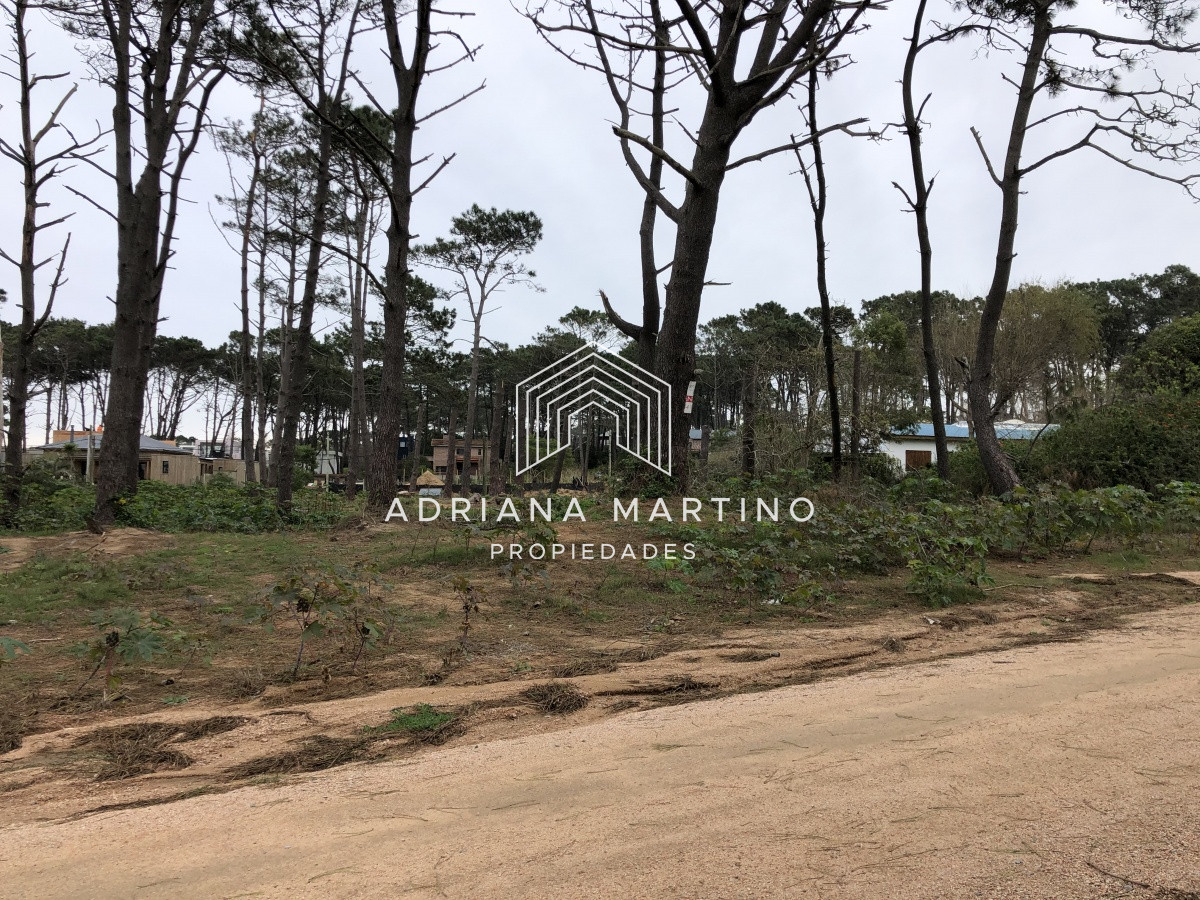 Terreno ID.69154 - Terreno en La Barra, Montoya