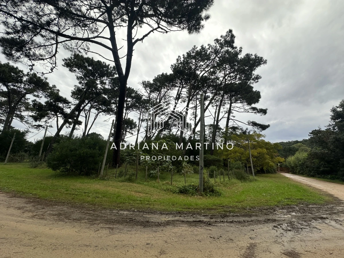 Rincón del Indio - GoPunta - Portal Inmobiliario de Punta del Este - Maldonado