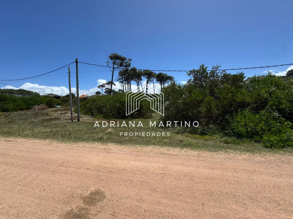 Terreno ID.71158 - Oportunidad de terreno en primera linea en Ocean Park