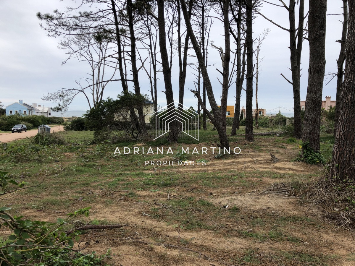 Terreno ID.69154 - Terreno en La Barra, Montoya